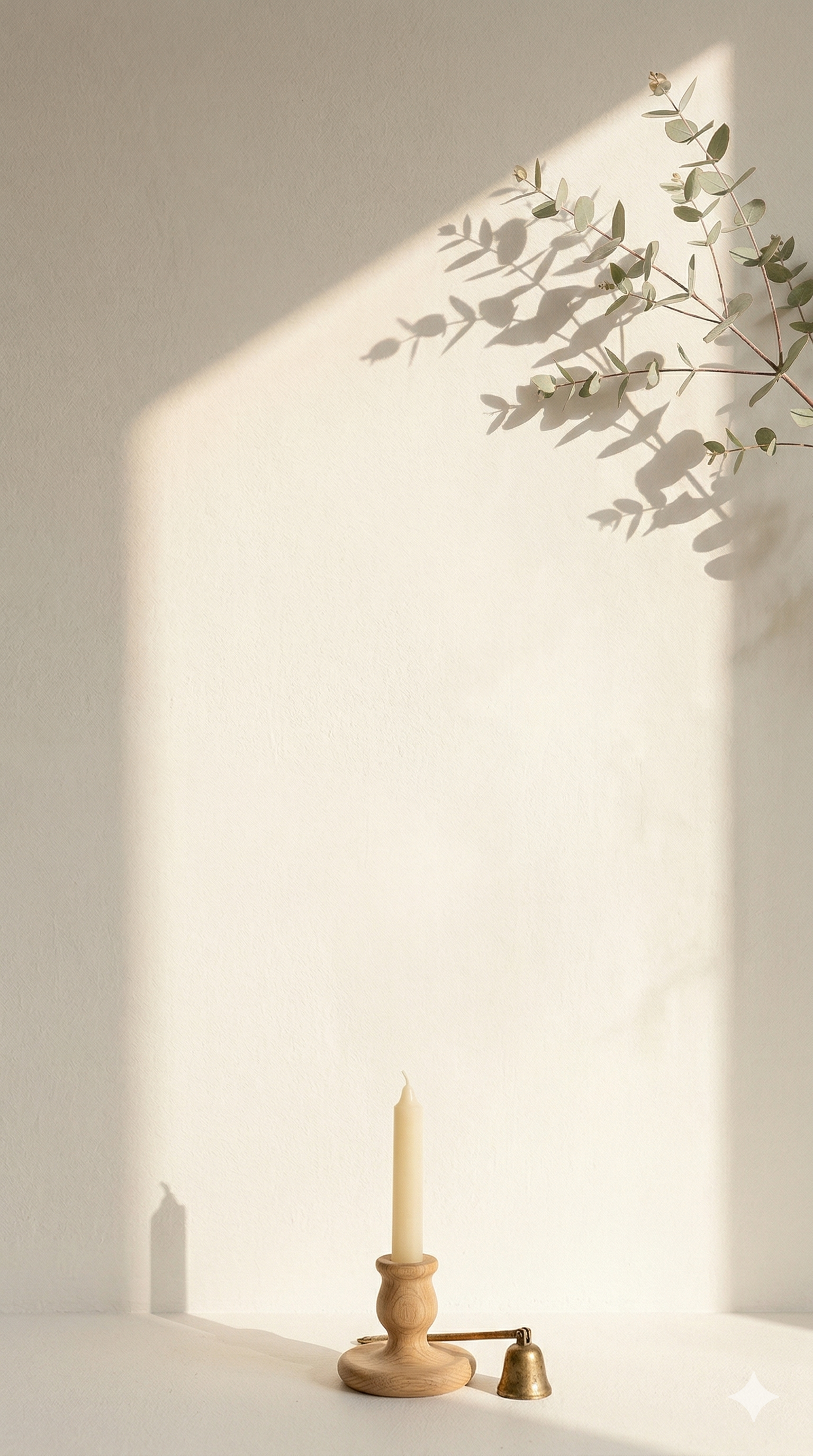 Paket Langganan All Access